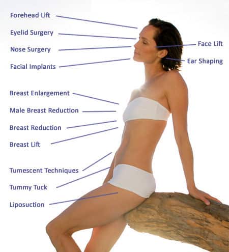 Model And Procedures